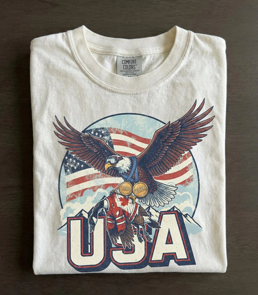 Funny USA Ice Hockey Eagle T-shirt